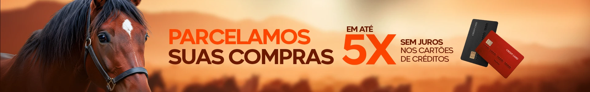 Parcelamento sem juros no cartão
