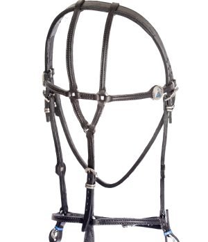 Cabeçada Nossa Senhora Fechada 456 copiar